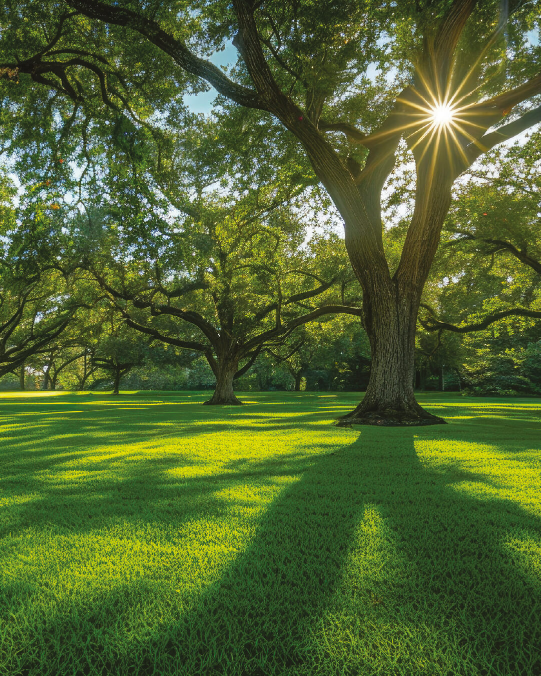 Green – Transizione Ecologica e Digitale